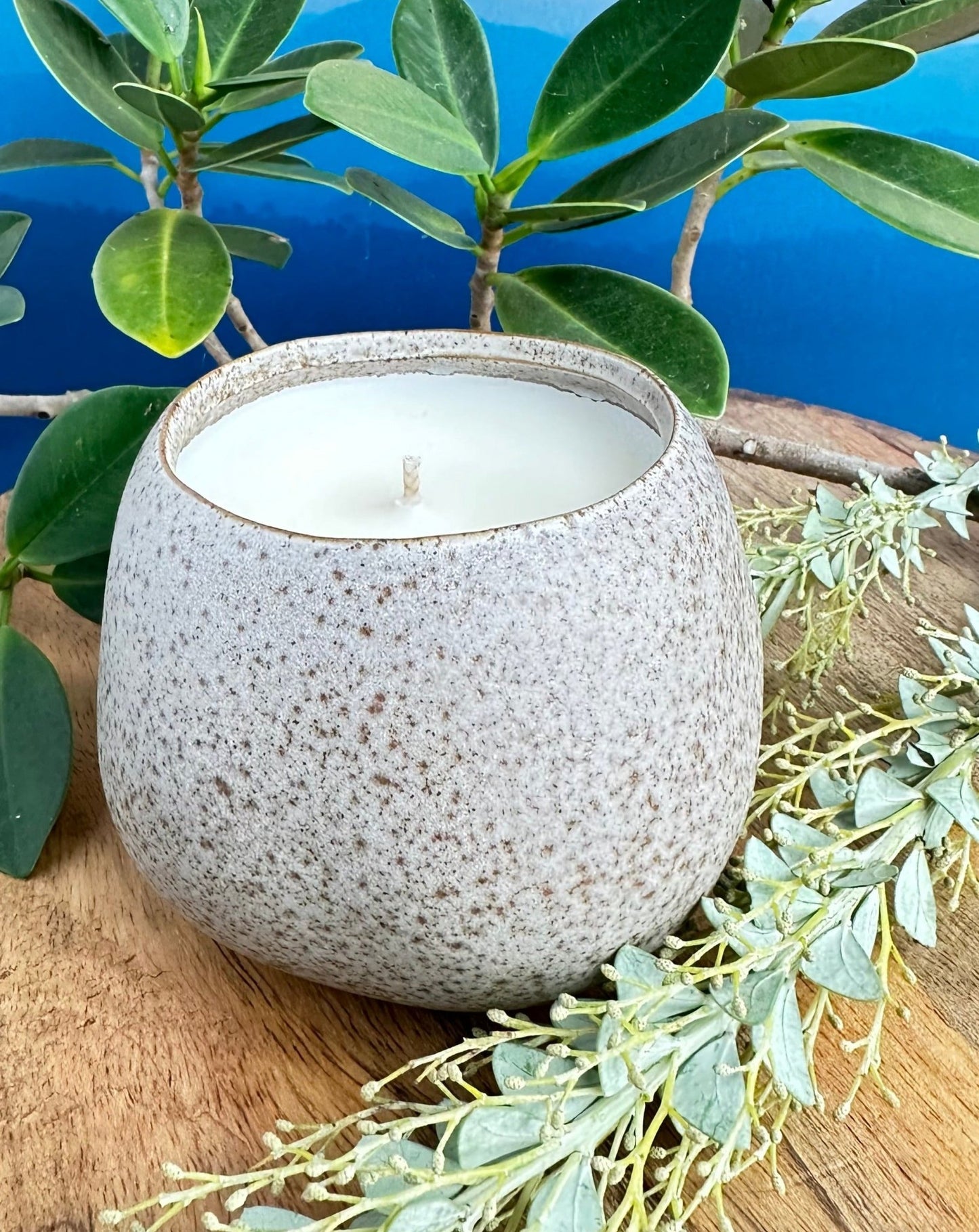 morning hike limited edition candle
