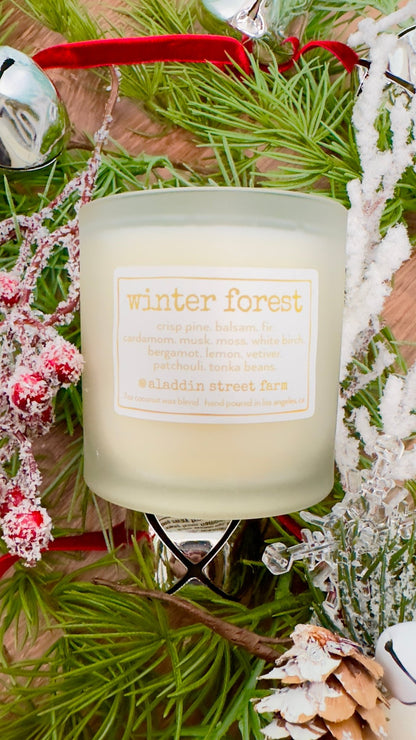 winter forest - signature aladdin street farm candle