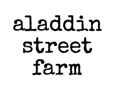 aladdin street farm gift card
